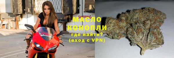 МДПВ Бородино
