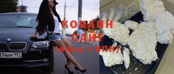МДПВ Бородино