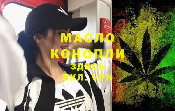 МДПВ Бородино