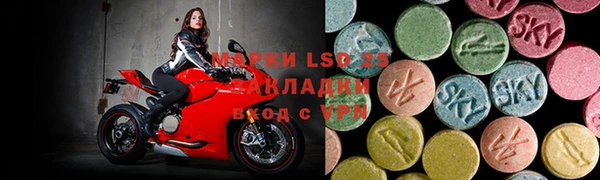 индика Богданович
