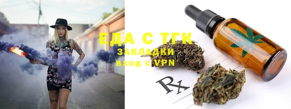 индика Богданович