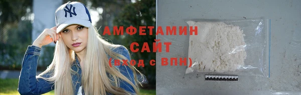 МДПВ Бородино