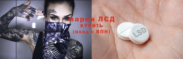 индика Богданович