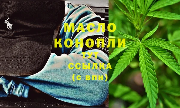 МДПВ Бородино