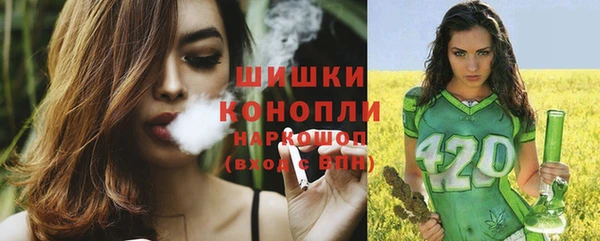 амф Богородицк