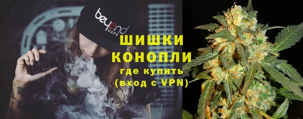 винт Бронницы