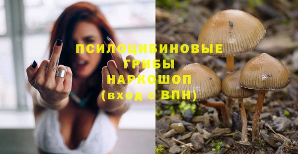 винт Бронницы