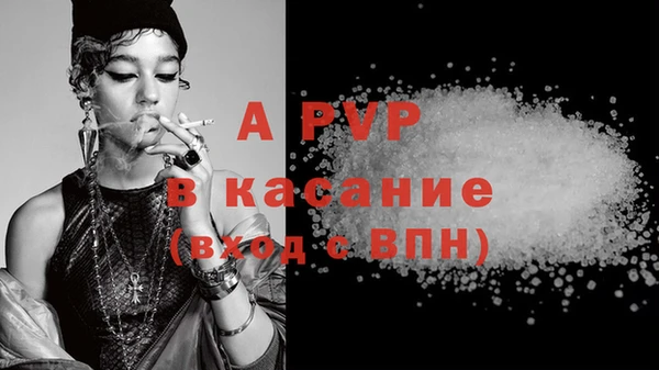 индика Богданович