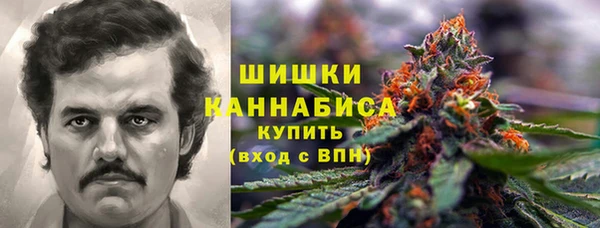 винт Бронницы