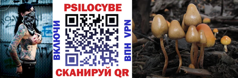 Галлюциногенные грибы Psilocybine cubensis  купить   Старица 